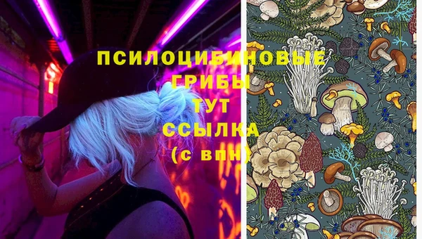 шишки Армянск