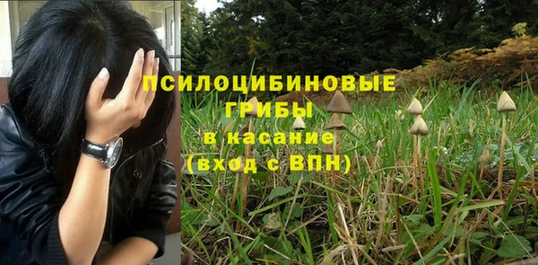 шишки Армянск