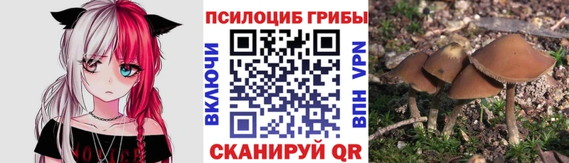 площадка наркотические препараты  Барыш  Псилоцибиновые грибы MAGIC MUSHROOMS 